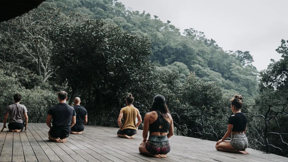 A group sitting in stillness on a timber deck above the jungle